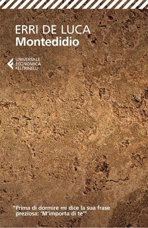 Erri De Luca: Montedidio (Italian language)