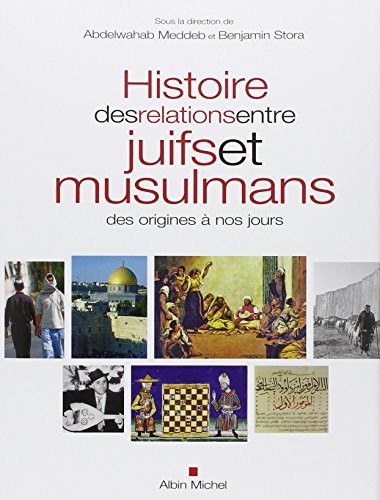 Abdelwahab Meddeb, Benjamin Stora: Histoire des relations entre juifs et musulmans (2013, Michel albin)