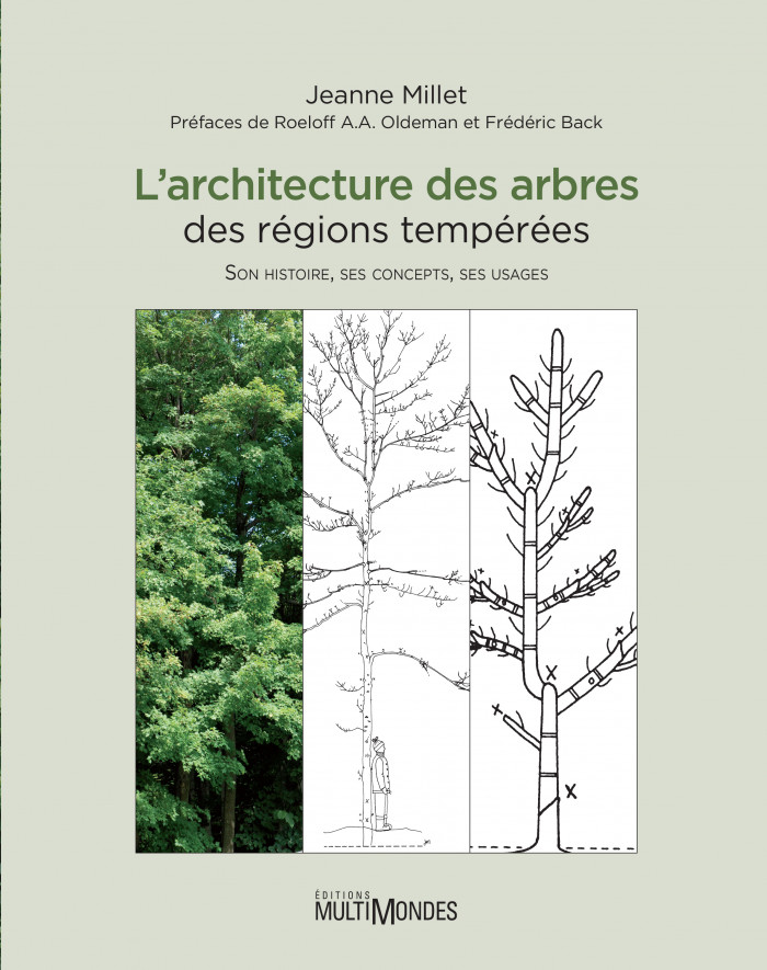 Jeanne Millet: L'architecture des arbres des régions tempérées (French language, 2012, MultiMondes)