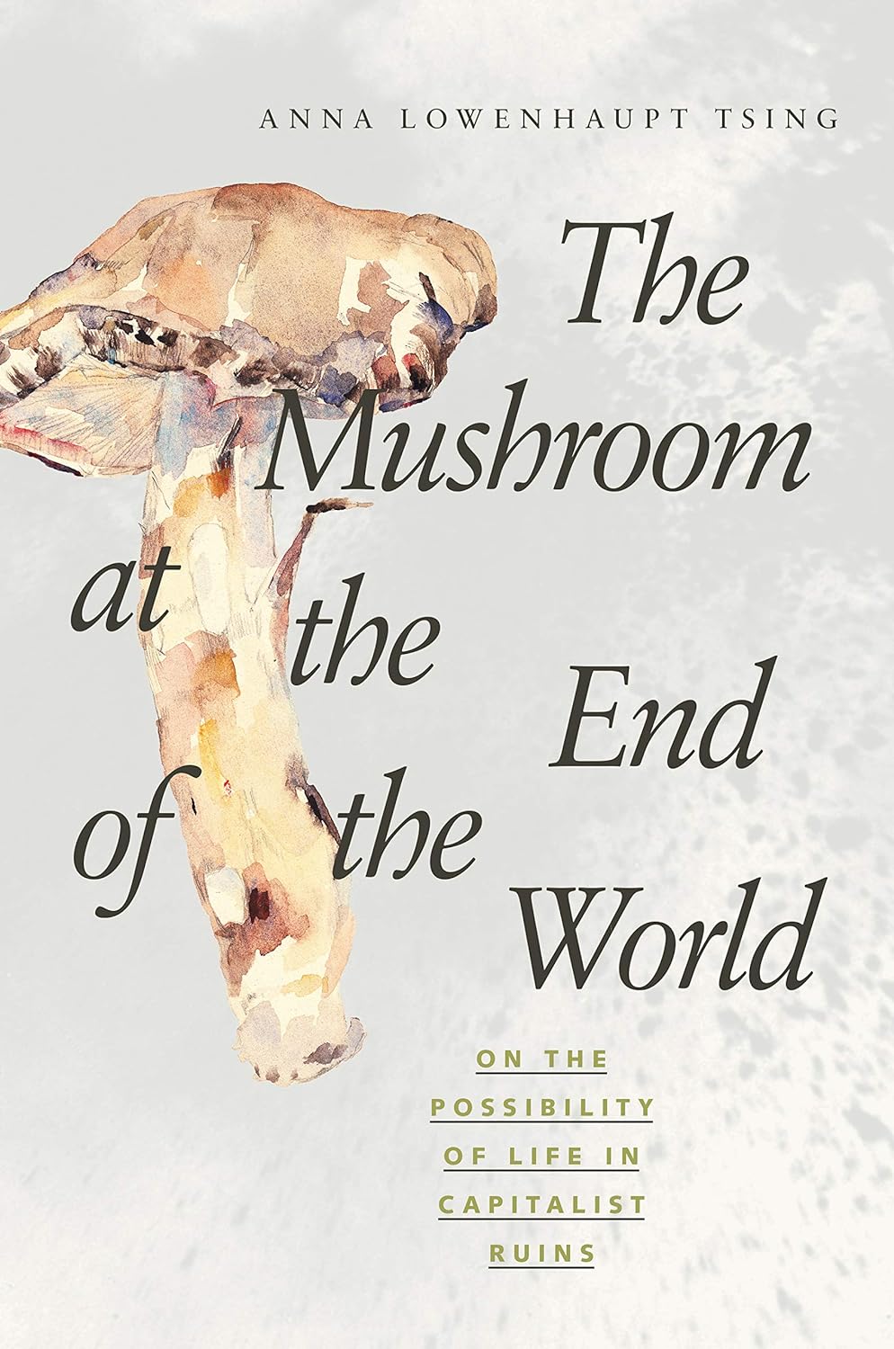Anna Lowenhaupt Tsing: The Mushroom at the End of the World (Paperback, 2015, Princeton University Press)