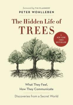 Peter Wohlleben, Benjamin Flao, Fred Bernard: The Hidden Life of Trees (2016)