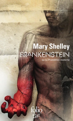 Mary Shelley: Frankenstein (EBook, français language, 2015, Gallimard)