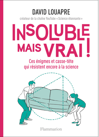 David Louapre: Insoluble mais vrai ! (Paperback, français language, 2017, Flammarion)