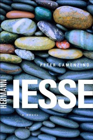 Hermann Hesse, Michael Roloff: Peter Camenzind (Paperback, Picador)