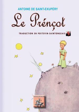 Antoine de Saint-Exupéry: Le Prénçot (French language)