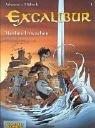 Christophe Arleston, Eric Hübsch: Excalibur, Bd.1, Merlins Erwachen (Paperback, German language, Carlsen)