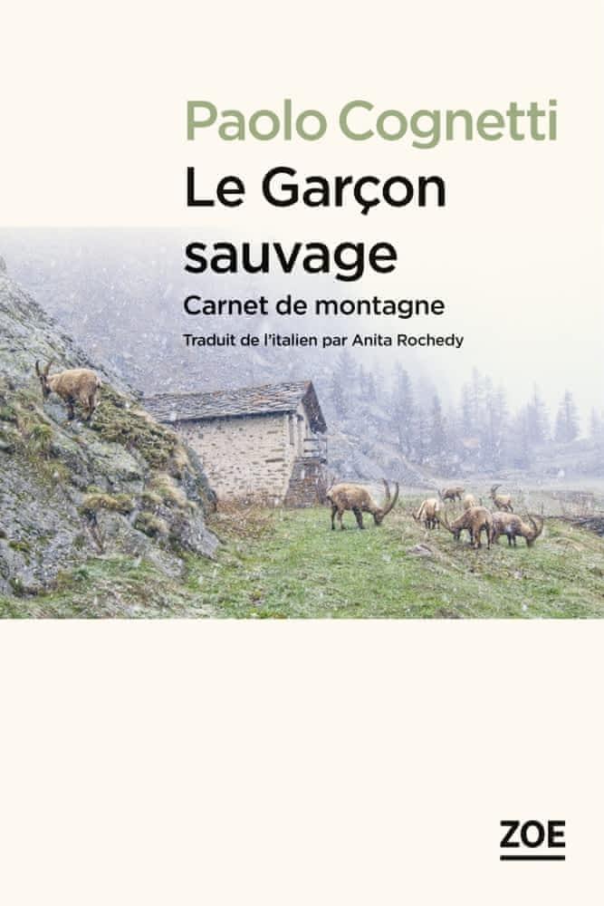 Paolo Cognetti: Le garçon sauvage : carnet de montagne (French language)