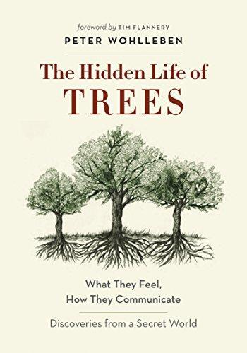 Peter Wohlleben, Benjamin Flao, Fred Bernard: The Hidden Life of Trees (2016)